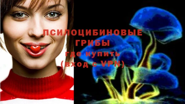 не бодяженный Коряжма