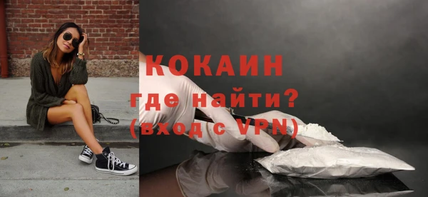 индика Костерёво