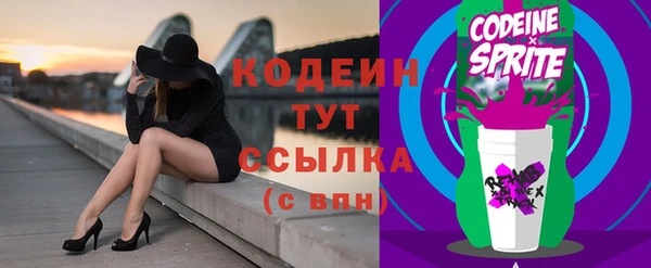 трава Корсаков