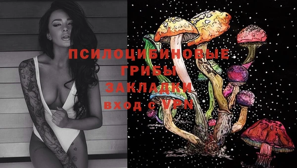 не бодяженный Коряжма