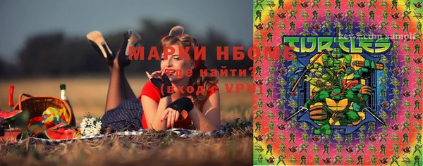 индика Костерёво