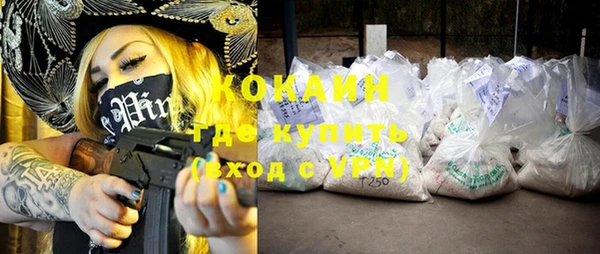 индика Кукмор