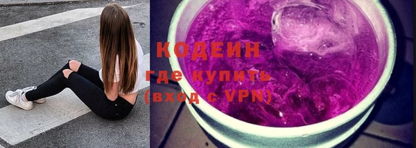 индика Костерёво