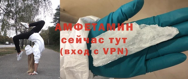 трава Корсаков