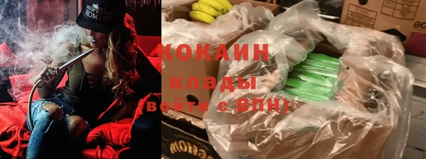 индика Костерёво